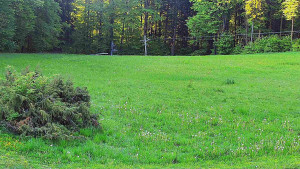 SkiAreál - Horský hotel Vsacký Cáb - Nastupní stanice vleku - 20.5.2026 v 06:15 SkiAreál - Horský hotel Vsacký Cáb - Nastupní stanice vleku - 20.5.2026 v 06:15