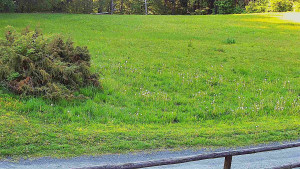 SkiAreál - Horský hotel Vsacký Cáb - Nastupní stanice vleku - 20.5.2026 v 07:00 SkiAreál - Horský hotel Vsacký Cáb - Nastupní stanice vleku - 20.5.2026 v 07:00
