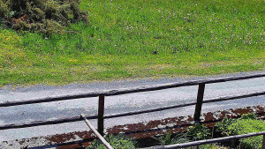 SkiAreál - Horský hotel Vsacký Cáb - Nastupní stanice vleku - 20.5.2026 v 11:30 SkiAreál - Horský hotel Vsacký Cáb - Nastupní stanice vleku - 20.5.2026 v 11:30