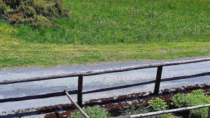 SkiAreál - Horský hotel Vsacký Cáb - Nastupní stanice vleku - 20.5.2026 v 13:30 SkiAreál - Horský hotel Vsacký Cáb - Nastupní stanice vleku - 20.5.2026 v 13:30