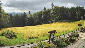 SkiAreál – Berghotel Vsacký Cáb - Stacja początkowa wyciągu narciarskiego - 18.8.2026 v 10:00 SkiAreál – Berghotel Vsacký Cáb - Stacja początkowa wyciągu narciarskiego - 18.8.2026 v 10:00
