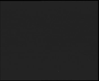 Snímek    28.10.2025 v 23:00