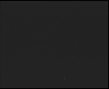 Snímek    31.10.2025 v 21:45