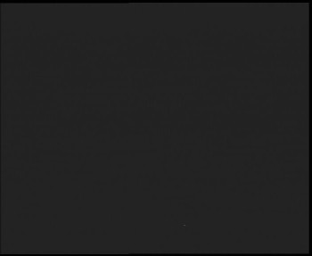 Snímek    31.10.2025 v 23:45