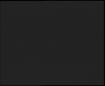 Snímek    3.11.2025 v 06:00