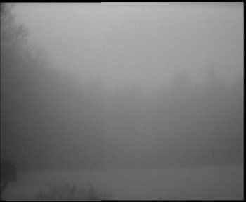 Snímek    3.11.2025 v 07:00