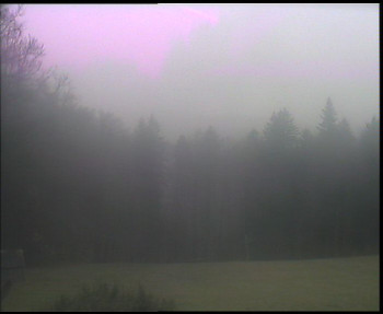 Snímek    3.11.2025 v 08:15