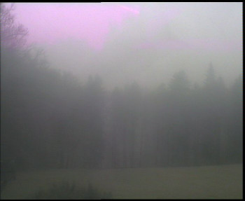 Snímek    3.11.2025 v 12:00