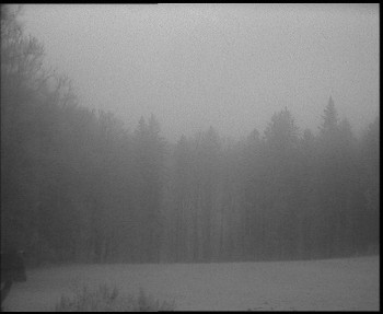 Snímek    3.11.2025 v 16:30