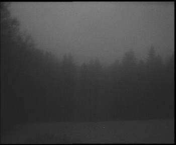 Snímek    3.11.2025 v 16:45