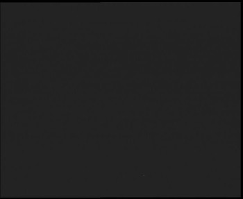 Snímek    3.11.2025 v 17:30