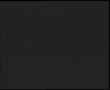 Snímek    3.11.2025 v 19:00