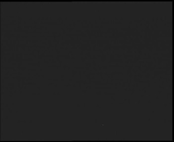 Snímek    4.11.2025 v 02:15