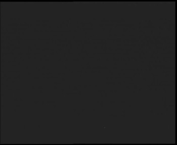 Snímek 7.11.2025 v 00:30