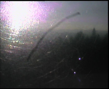 Snímek 7.11.2025 v 08:00