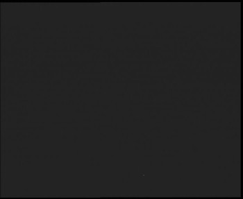 Snímek 7.11.2025 v 20:45