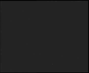 Snímek 8.11.2025 v 05:30