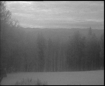 Snímek 8.11.2025 v 06:30