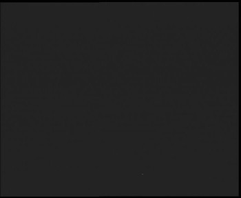 Snímek 9.11.2025 v 01:45