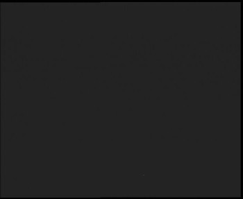 Snímek 17.11.2025 v 23:00