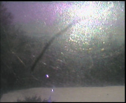 Panorama z Vsackého Cábu