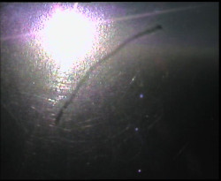 Panorama z Vsackého Cábu