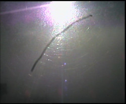 Panorama z Vsackého Cábu