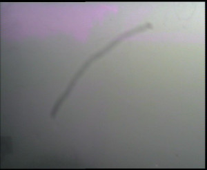 SkiAreál - Horský hotel Vsacký Cáb - Panorama z Vsackého Cábu - 20.12.2025 v 11:15 SkiAreál - Horský hotel Vsacký Cáb - Panorama z Vsackého Cábu - 20.12.2025 v 11:15