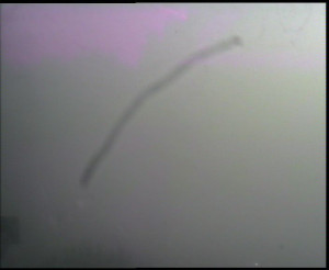 SkiAreál - Horský hotel Vsacký Cáb - Panorama z Vsackého Cábu - 20.12.2025 v 11:30 SkiAreál - Horský hotel Vsacký Cáb - Panorama z Vsackého Cábu - 20.12.2025 v 11:30