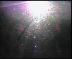 Panorama z Vsackého Cábu