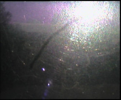 Panorama z Vsackého Cábu