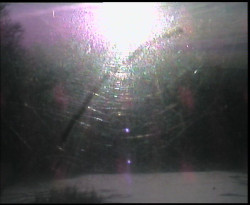 Panorama z Vsackého Cábu