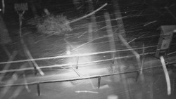 Panorama z Vsackého Cábu