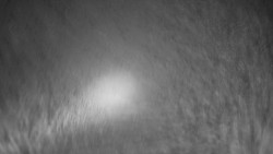 Panorama z Vsackého Cábu