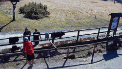 Panorama z Vsackého Cábu