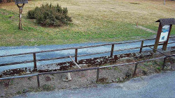 Panorama z Vsackého Cábu