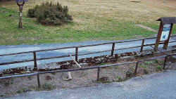 Panorama z Vsackého Cábu