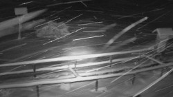 Panorama z Vsackého Cábu