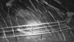 Panorama z Vsackého Cábu