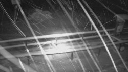 Panorama z Vsackého Cábu