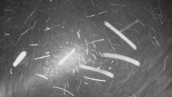 Panorama z Vsackého Cábu