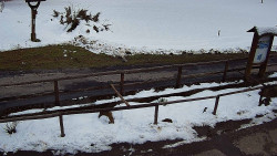 Panorama z Vsackého Cábu