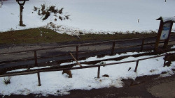 Panorama z Vsackého Cábu