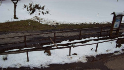 Panorama z Vsackého Cábu