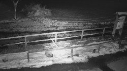 Panorama z Vsackého Cábu