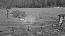 Panorama z Vsackého Cábu