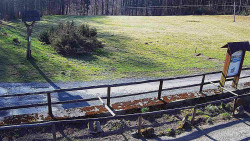 Panorama z Vsackého Cábu