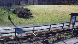 Panorama z Vsackého Cábu