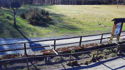 Panorama z Vsackého Cábu