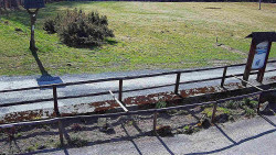 Panorama z Vsackého Cábu